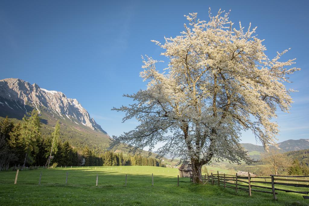 Mayer - Wirtshaus Und Dorfhotel Sankt Martin am Grimming Esterno foto
